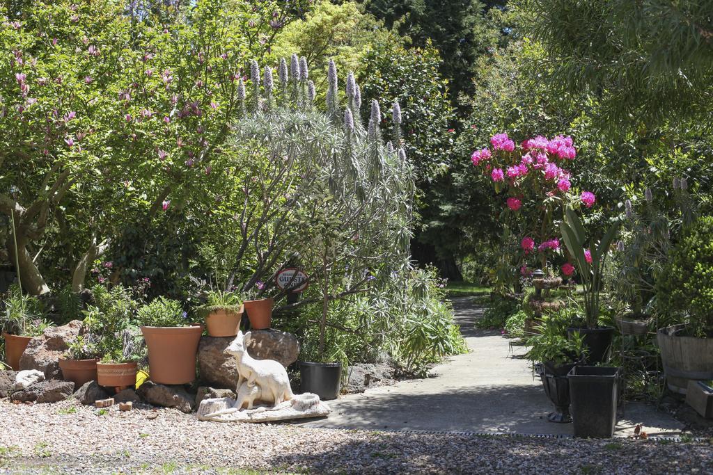 Olinda Country Cottages Exterior foto